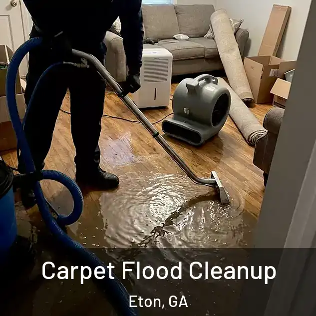  Carpet Flood Cleanup Eton, GA