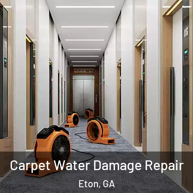  Carpet Water Damage Repair Eton, GA