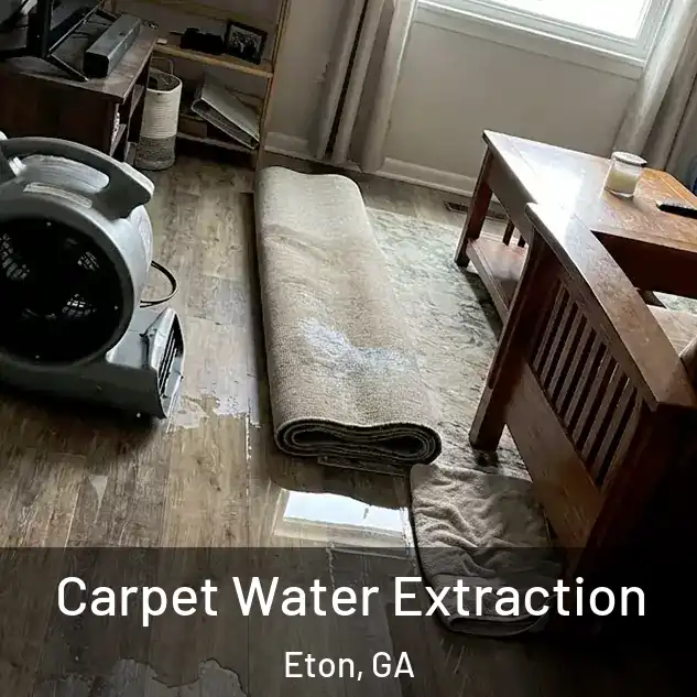  Carpet Water Extraction Eton, GA