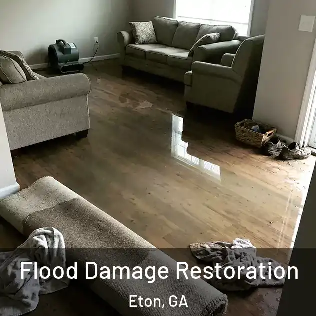  Flood Damage Restoration Eton, GA