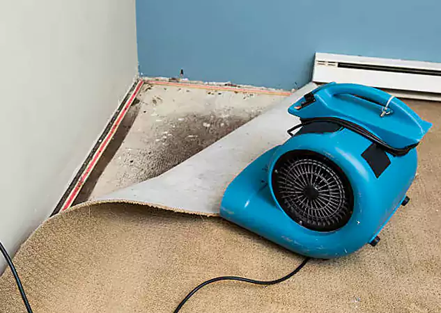 Your Water Damage Experts in Eton, GA