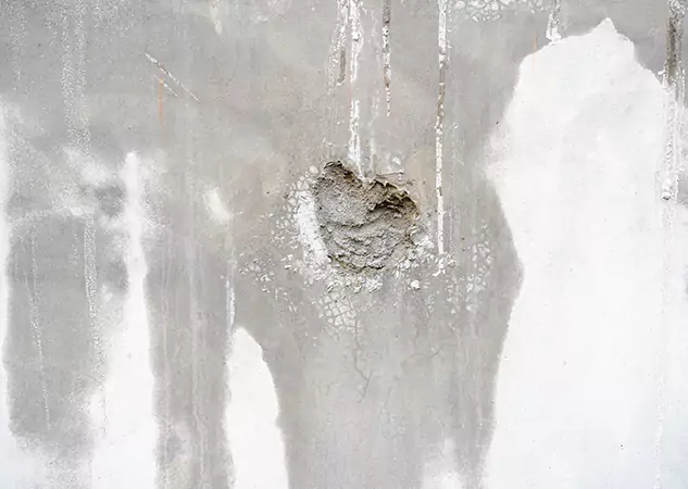 Your Mold Mitigation Solutions Partner in Eton, GA