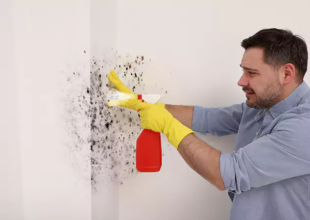 Your Water Mold Fire Restoration Partner in Eton, GA