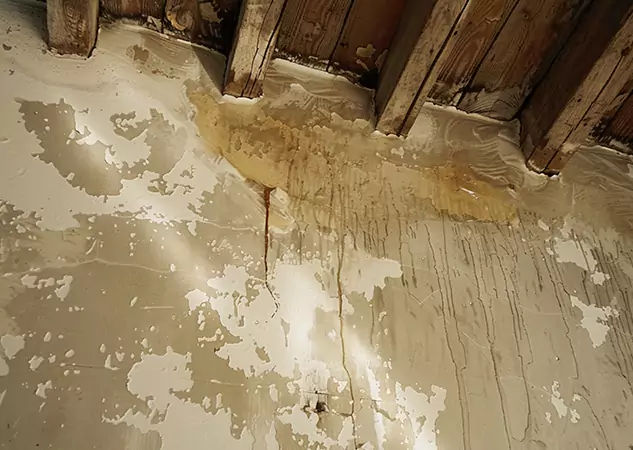 Your Trusted Restoration Company in Eton, GA