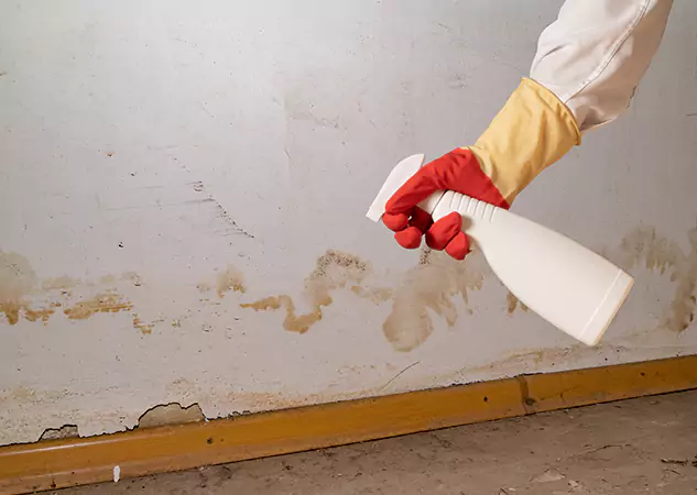 Your Water Restoration and Mold Remediation Specialists in Eton, GA