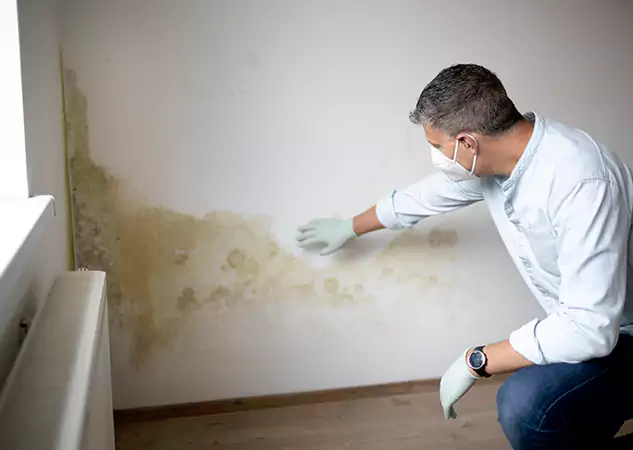 Reach Our Remediation Team Before Damage Grows in Eton, GA!