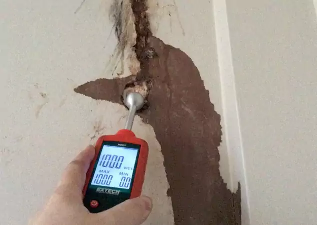 Your Water Damage Assessment Partner in Eton, GA