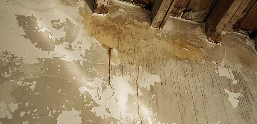 Professional Attic Water Damage Repair Services in Eton, GA