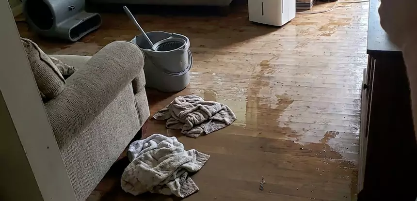 Professional Basement Water Remediation Services in Eton, GA