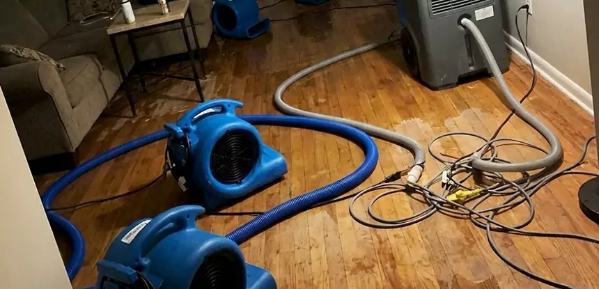 Basement Flood Restoration Services in Eton