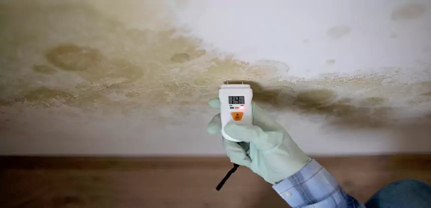 Emergency Mold Remediation in Eton