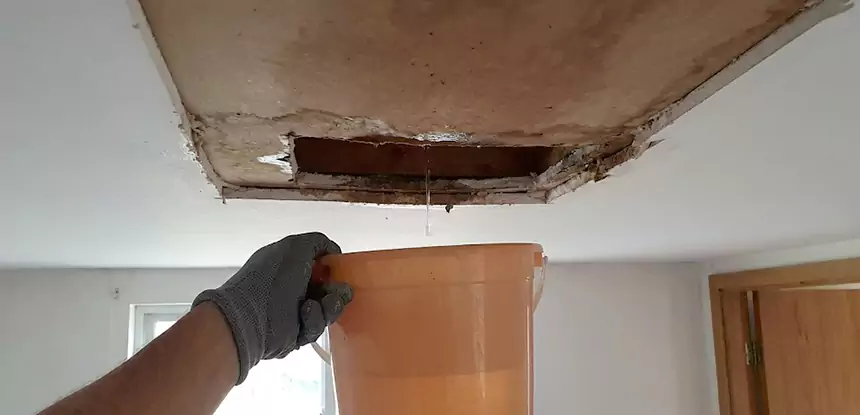 Ceiling Mold Repair Eton 