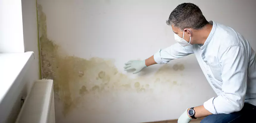 Mold and Water Damage Repair in Eton