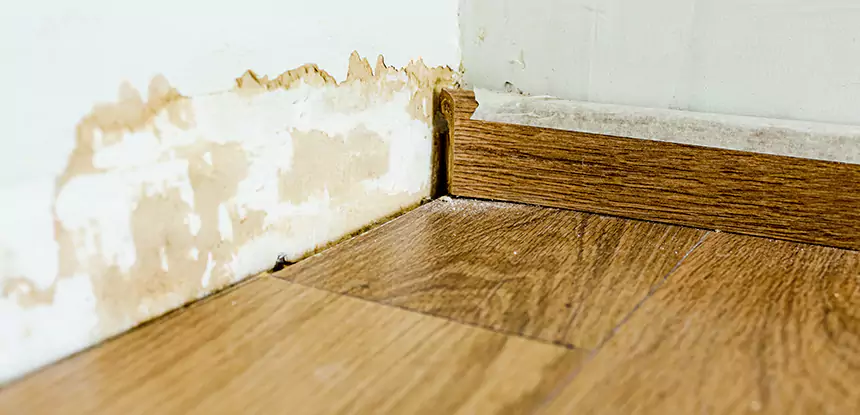 Professional Fix Water Damaged Wood Services in Eton, GA