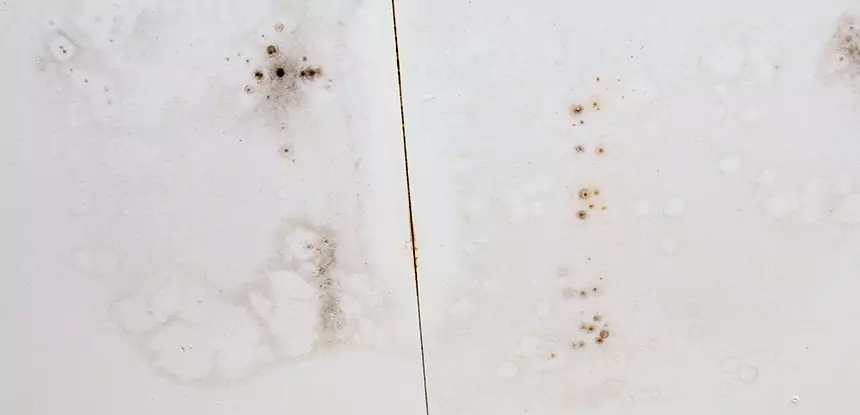 Professional Water Stain Repair Services in Eton, GA