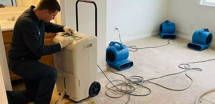 Professional Wet Carpet Removal Services in Eton, GA