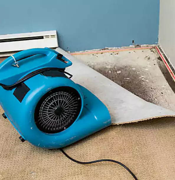 Why Eton Trusts Eton Restoration Pro for Carpet Flood Recovery?