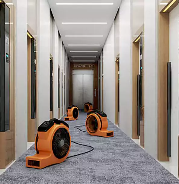 Why Eton Trusts Eton Restoration Pro?