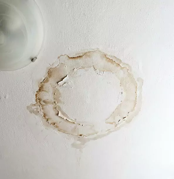 Why Eton Property Owners Choose Eton Restoration Pro for Ceiling Water Damage Restoration?