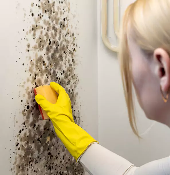 Why Eton Restoration Pro Leads Mold Remediation in Eton?