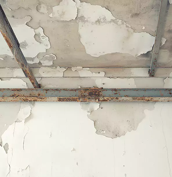 Why Eton Restoration Pro Is the Right Choice in Eton, GA?