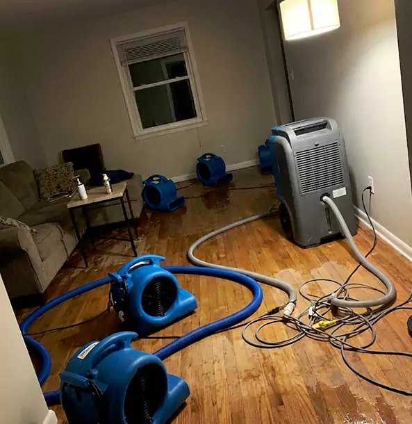 Why Eton Property Owners Rely on Eton Restoration Pro for Remediation?