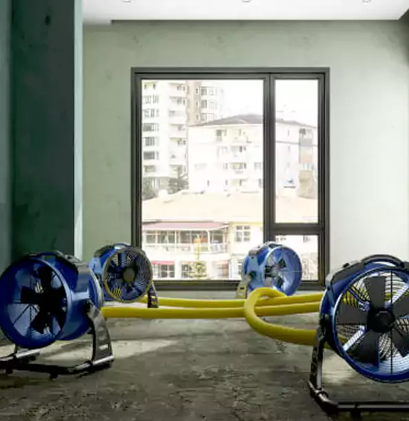 Why Eton Property Owners Trust Eton Restoration Pro for Water Damage Drying?