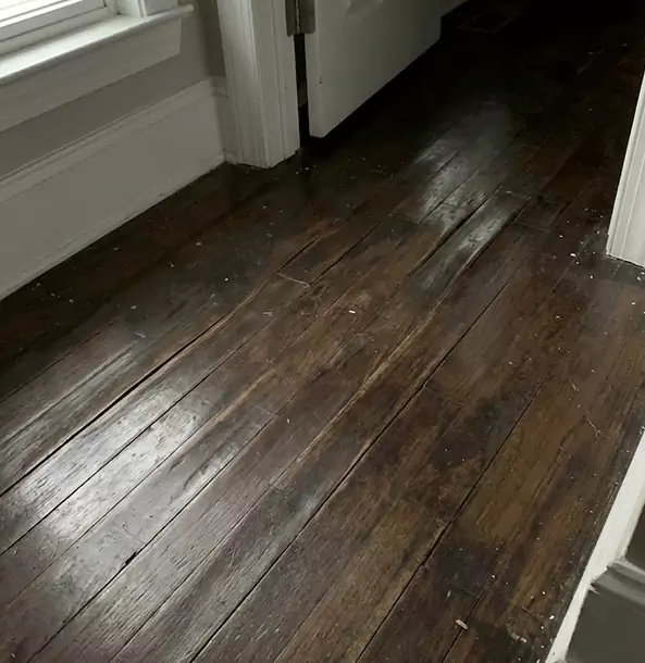 Why Eton Homeowners Trust Eton Restoration Pro to Fix Water Damaged Wood?