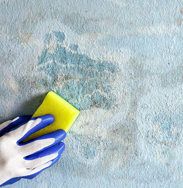 Why Eton Restoration Pro Is the Right Choice in Eton, GA?