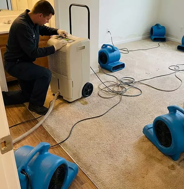 Why Eton Homeowners and Businesses Trust Eton Restoration Pro for Carpet Drying?