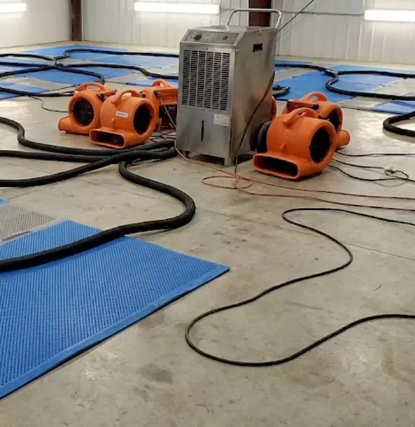 Why Eton Homeowners and Businesses Choose Eton Restoration Pro for Wet Carpet Removal?