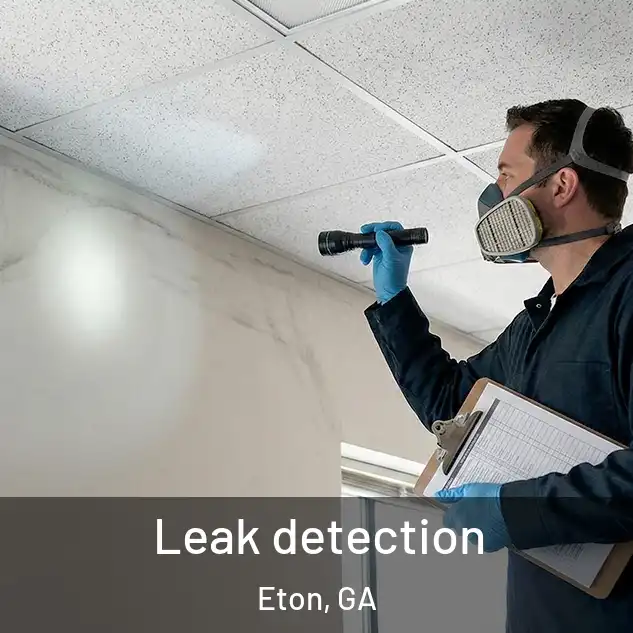  Leak detection Eton, GA