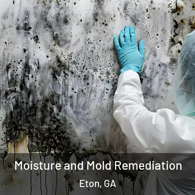  Moisture and Mold Remediation Eton, GA