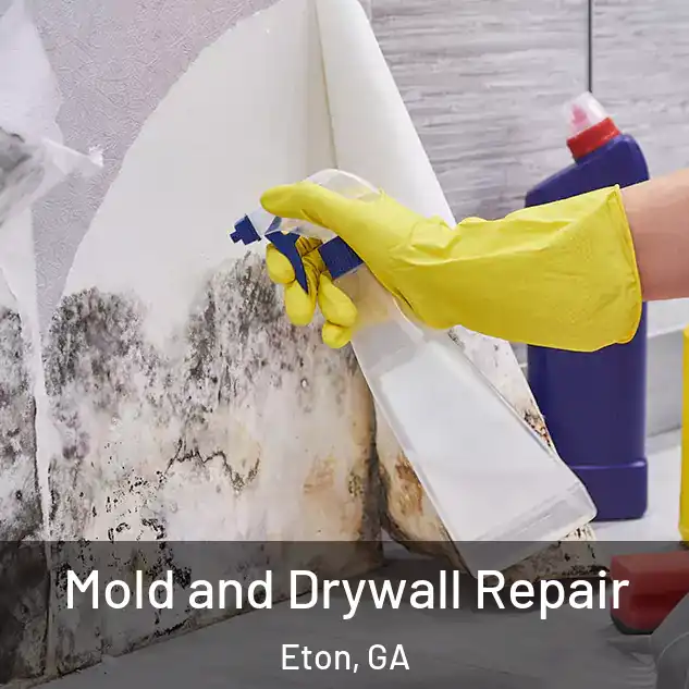  Mold and Drywall Repair Eton, GA
