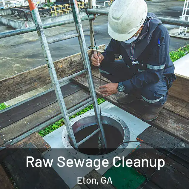  Raw Sewage Cleanup Eton, GA