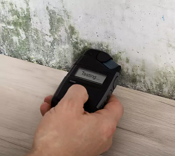 Mold Remediation Service Eton
