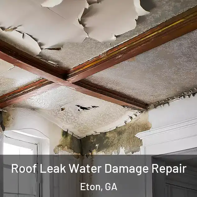  Roof Leak Water Damage Repair Eton, GA