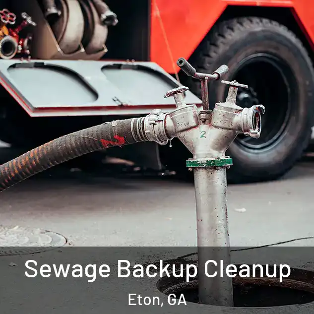  Sewage Backup Cleanup Eton, GA