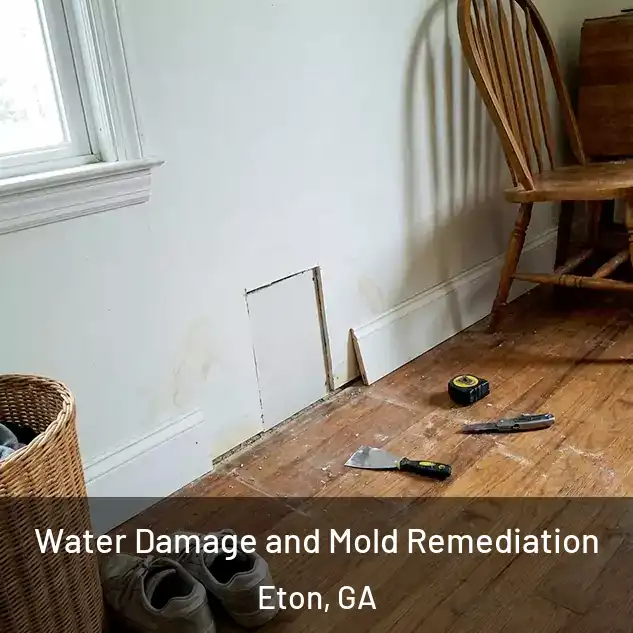  Water Damage and Mold Remediation Eton, GA