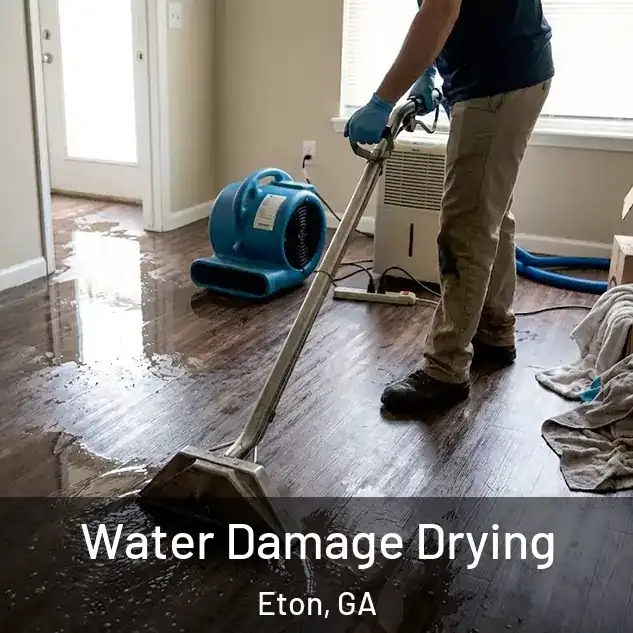  Water Damage Drying Eton, GA
