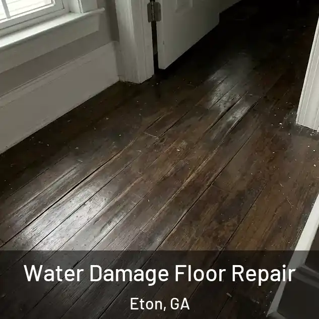  Water Damage Floor Repair Eton, GA