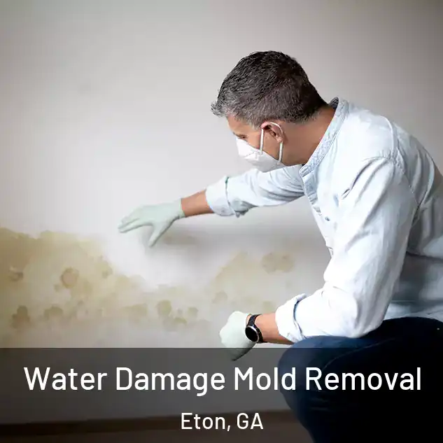  Water Damage Mold Removal Eton, GA