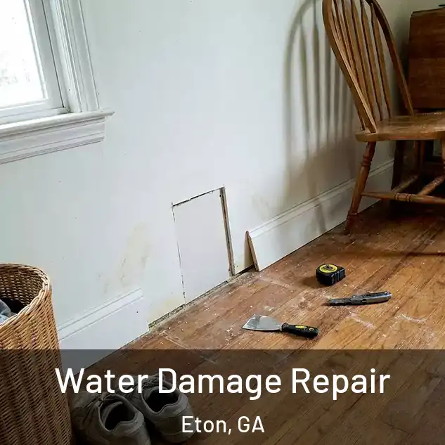  Water Damage Repair Eton, GA