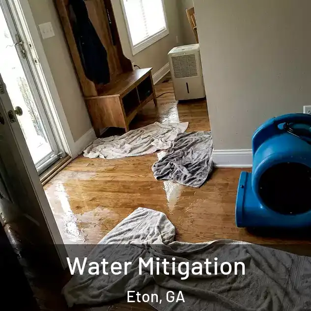  Water Mitigation Eton, GA