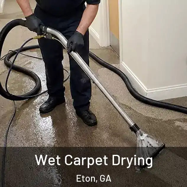  Wet Carpet Drying Eton, GA