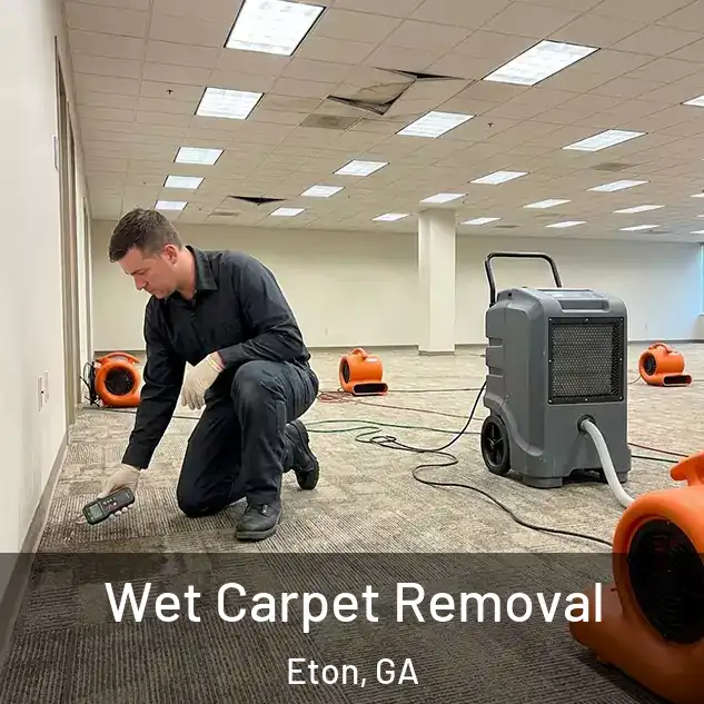  Wet Carpet Removal Eton, GA